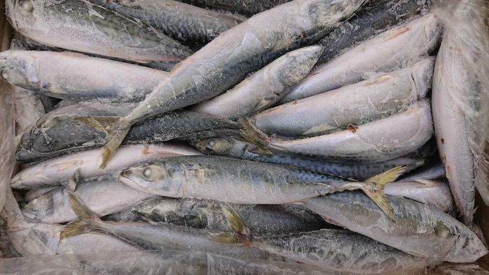 Hình ảnh kho hàng và sản phẩm đạt chuẩn tại Huy Tuấn Food