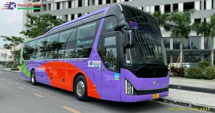 Hình ảnh nội thất sang trọng trên xe Nguyễn Kim Limousine