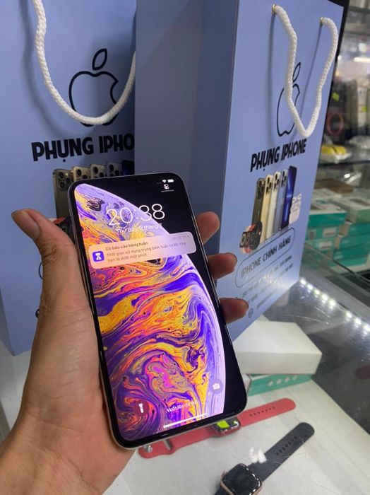 Phụng Iphone - Hình ảnh 3