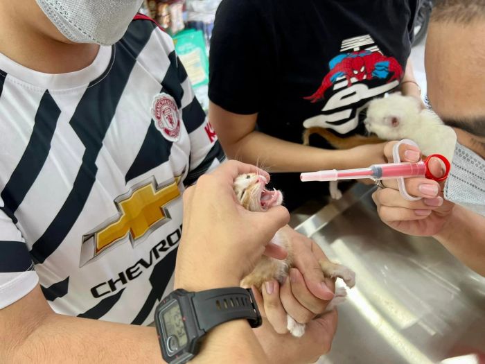 Phòng khám thú y K9 ảnh 1