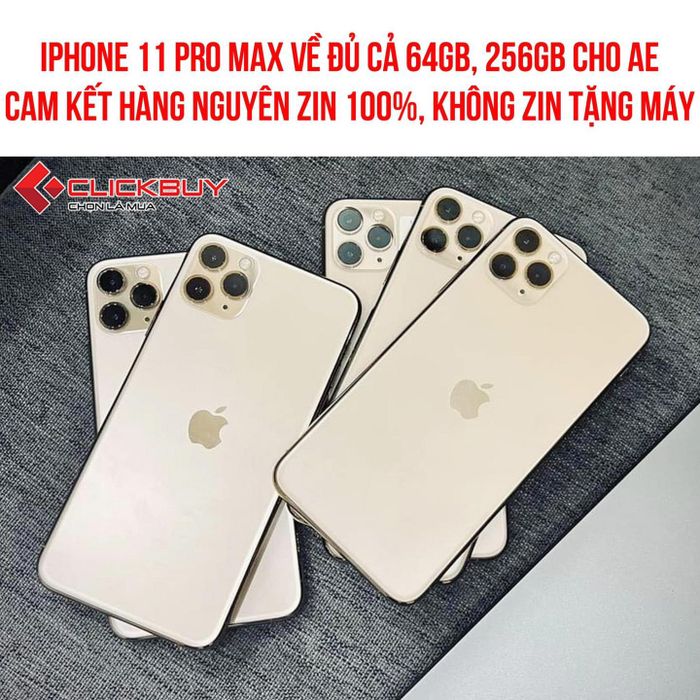 Không gian trưng bày đa dạng tại Clickbuy