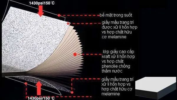 Bộ sưu tập mẫu vách ngăn cao cấp từ iVN