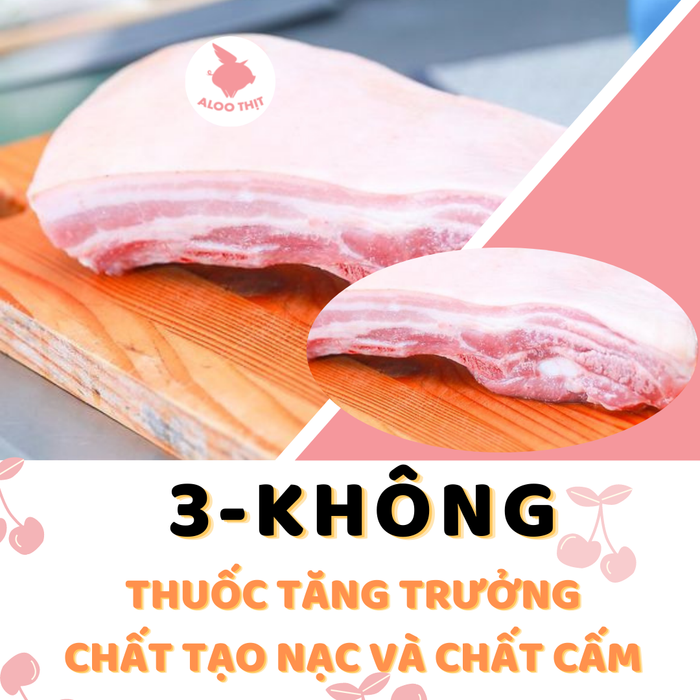 Hình ảnh sản phẩm thịt đông lạnh cao cấp tại Aloo Thịt