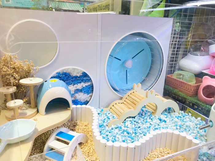 Không gian sáng tạo đầy màu sắc tại NK Hamster Cage & Decorations