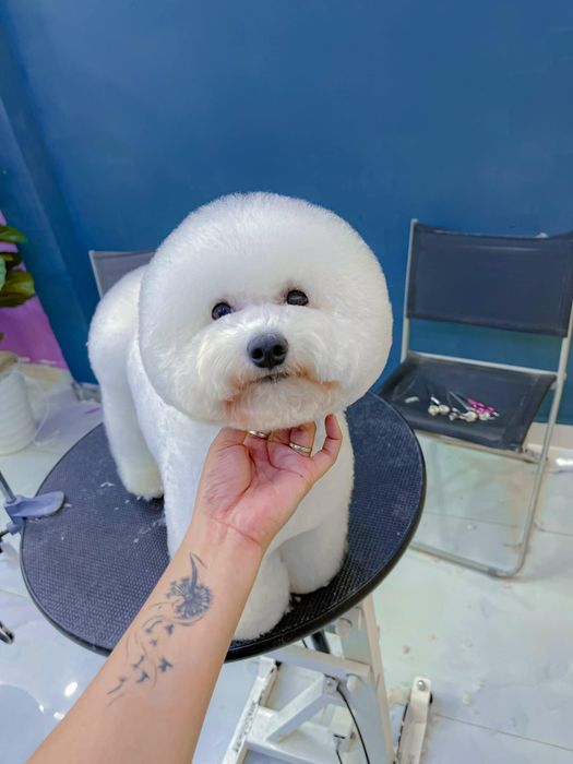 Nội Thất Cát Tường - Hình ảnh 2