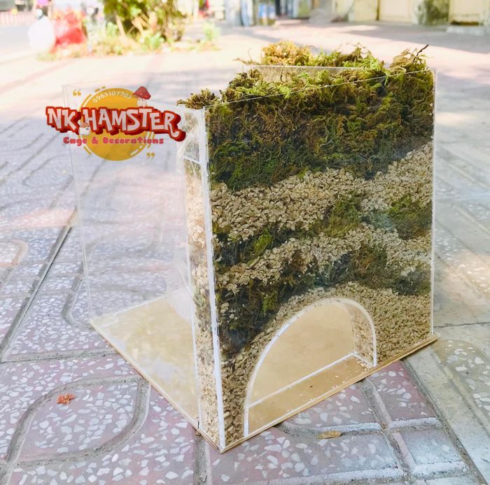 Bộ sưu tập phụ kiện độc đáo tại NK Hamster Cage & Decorations