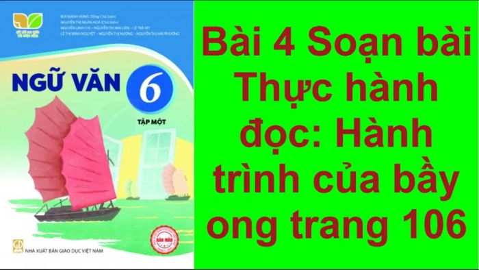 Hình ảnh minh họa sinh động (Nguồn: internet) ảnh 1