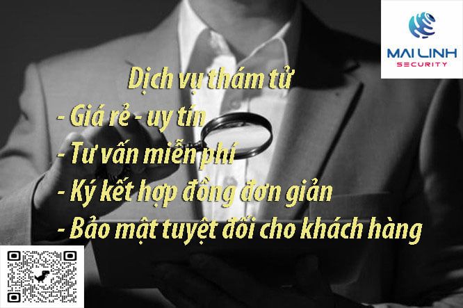 Hình ảnh hoạt động của Thám tử Mai Linh (ảnh 2)