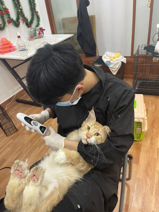 Phòng nghỉ tiện nghi dành cho thú cưng tại Okyo Pet House