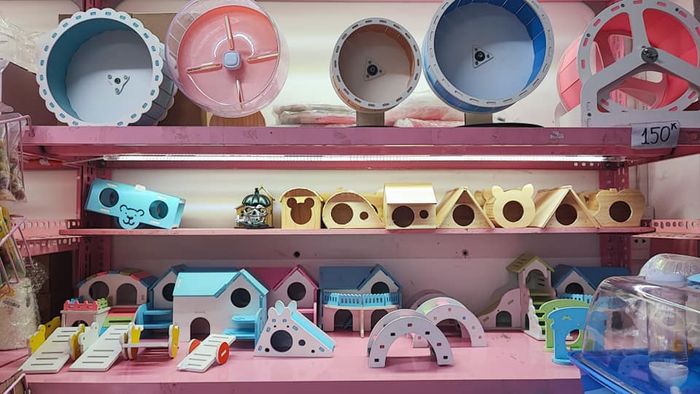 Bộ sưu tập phụ kiện cao cấp tại NACA Hamster