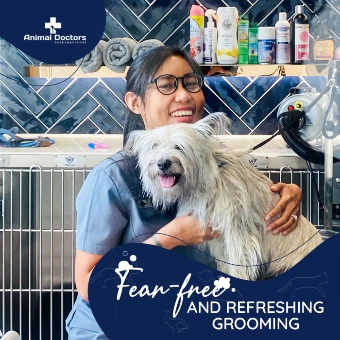 Không gian chăm sóc thú cưng tiện nghi tại Animal Doctors International