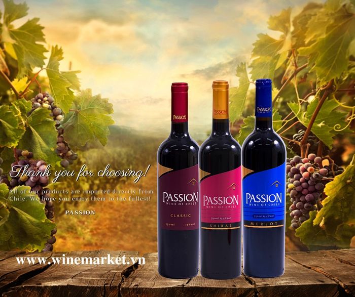 Hình ảnh Passion Wine - Tinh hoa vang Chile