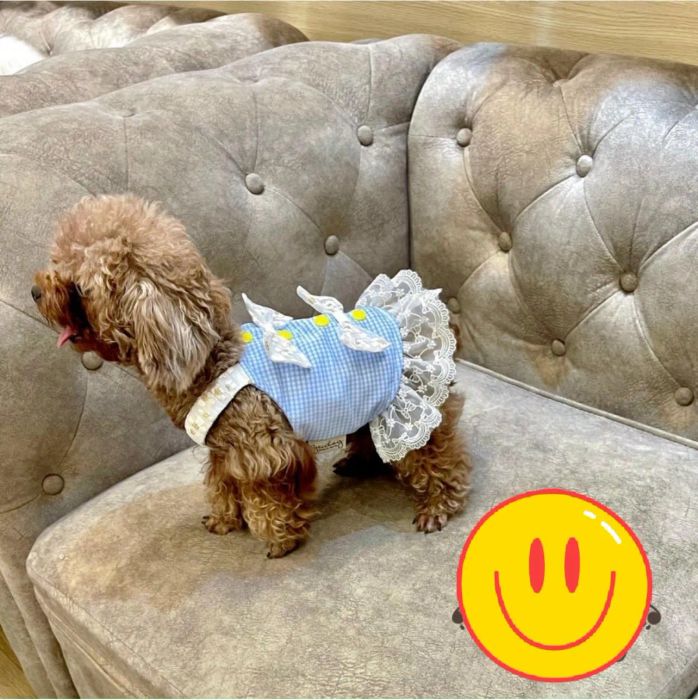 Không gian nghỉ dưỡng cao cấp tại RinRin Petcare
