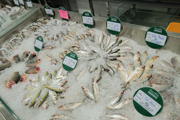 Hình ảnh minh họa không gian bày bán sản phẩm tại SanHà FoodStore