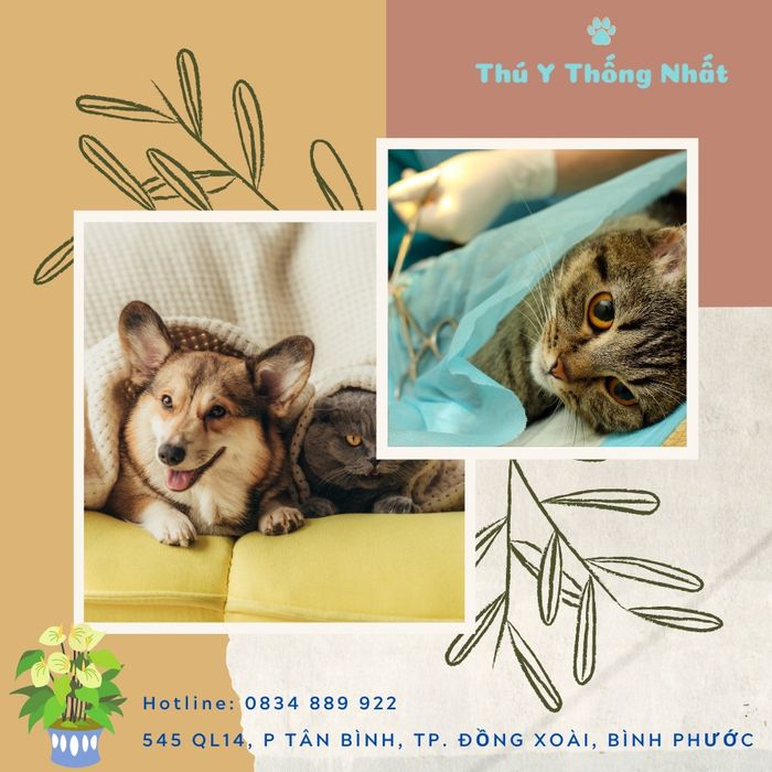 THÚ Y THỐNG NHẤT ảnh 1