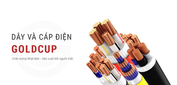 Hình ảnh nhà máy sản xuất hiện đại của GOLDCUP
