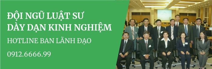 Hình ảnh đội ngũ luật sư Đại Việt - Chuyên gia tâm huyết với nghề