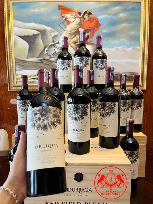 Bộ sưu tập vang quốc tế đa dạng tại ROYAL WINES (Ảnh 2)