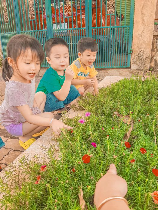 Mầm Non Sóc Nâu hình ảnh 1