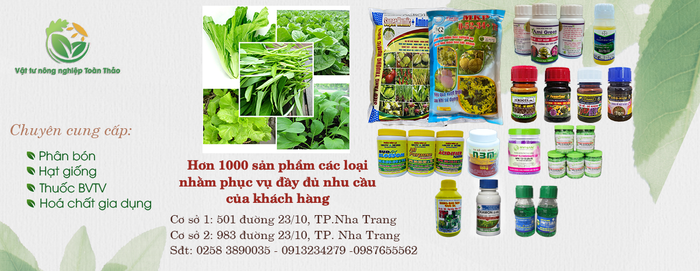 Không gian trưng bày hiện đại tại Toàn Thảo