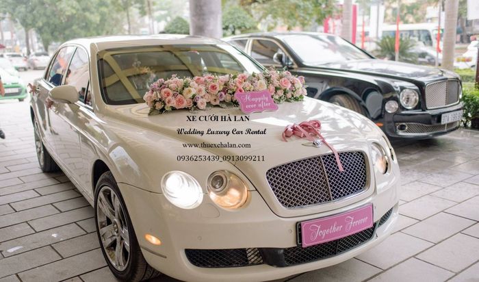 Khoảnh khắc vàng cùng dàn xe cưới Xe Cưới Hà Lan (Ảnh 3)