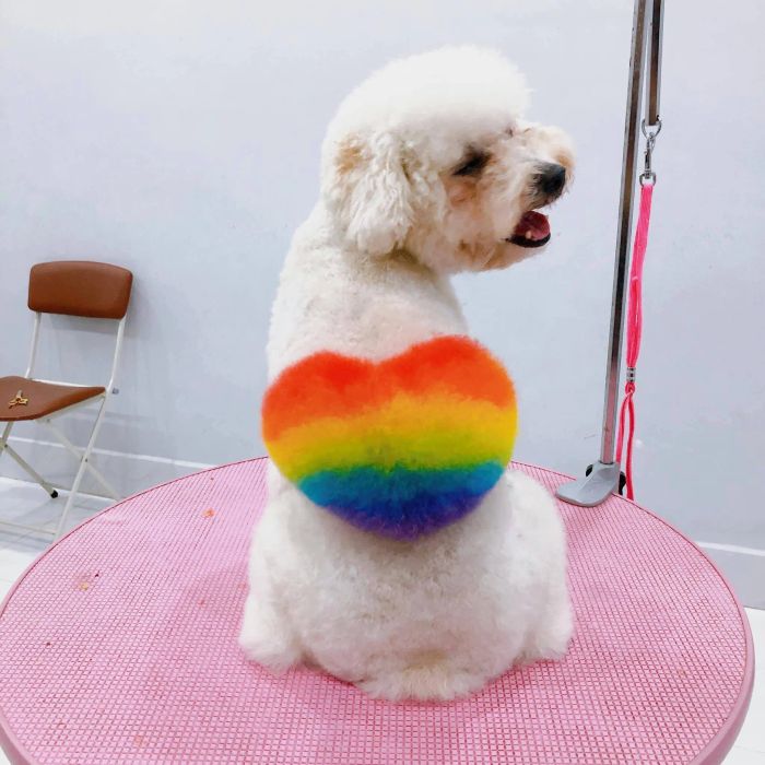 Góc làm đẹp tiêu chuẩn tại TINY TOWN Grooming Spa