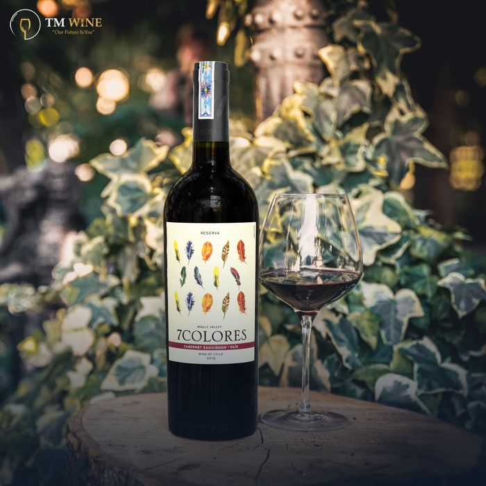 TM Wine Việt Nam - Ảnh 2: Bộ sưu tập vang cao cấp nhập khẩu chính hãng