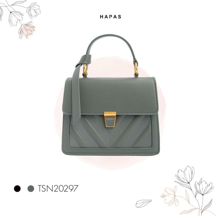 Hình ảnh HAPAS 3