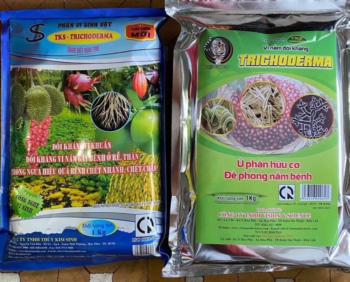 Không gian trưng bày đa dạng tại Bình Nhi Gardening