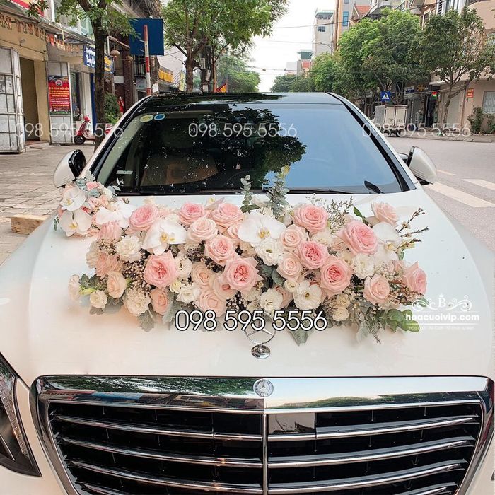 Khoảnh khắc vàng cùng dàn xe cưới cao cấp (Ảnh 2)