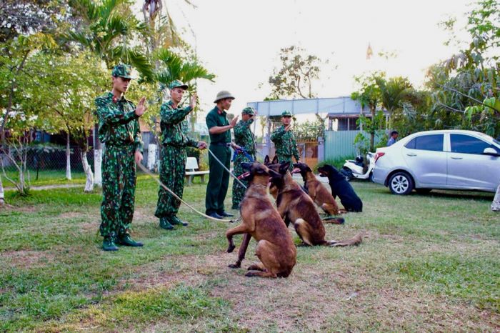 Hình ảnh minh họa bài học 'Ngồi - Ngồi im' tại Trung Tâm Sài Gòn DTC