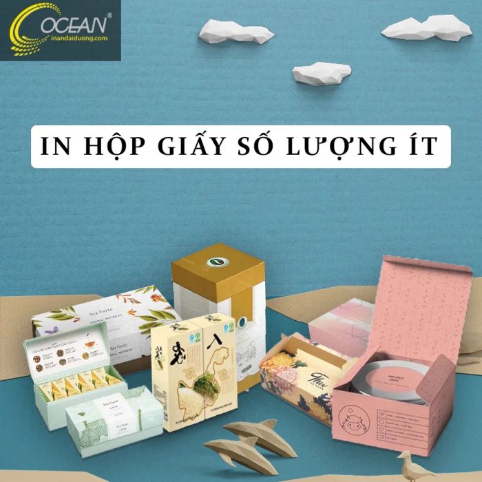 Hình ảnh sản phẩm nổi bật từ In Ấn Đại Dương