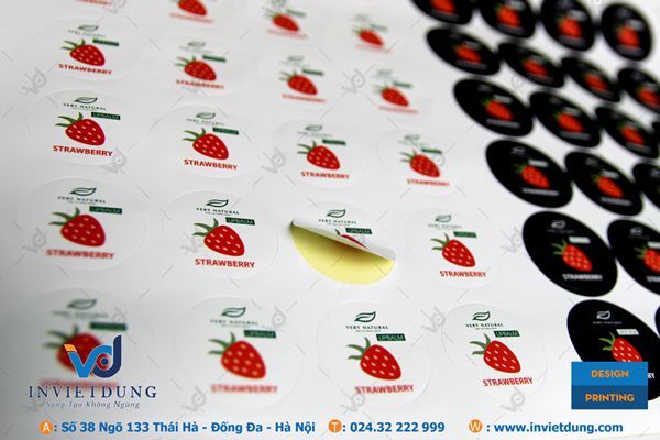 Hình ảnh sản phẩm đẳng cấp từ In Việt Dũng