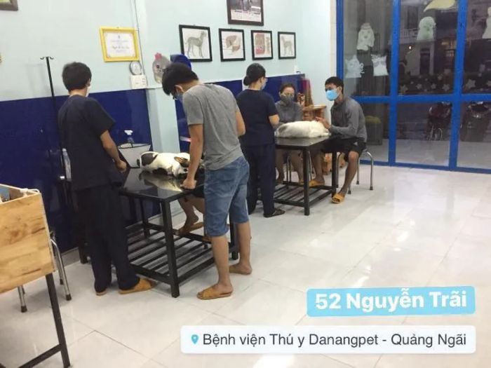 Không gian chăm sóc thú cưng hiện đại tại Bệnh viện Danangpet (3)
