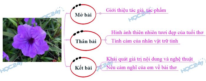 Ảnh minh họa (Nguồn internet) ảnh 1