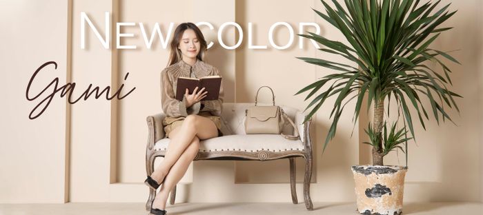Hình ảnh Lecas leather 1