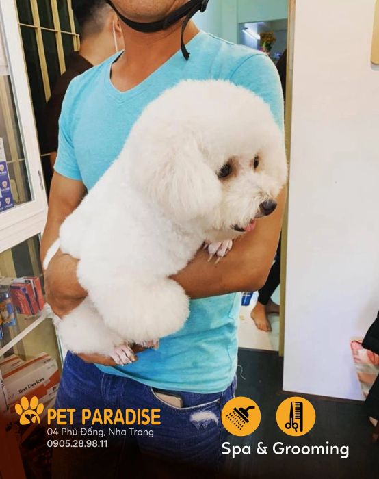 Khoảnh khắc hạnh phúc tại Pet Paradise - Ảnh 1