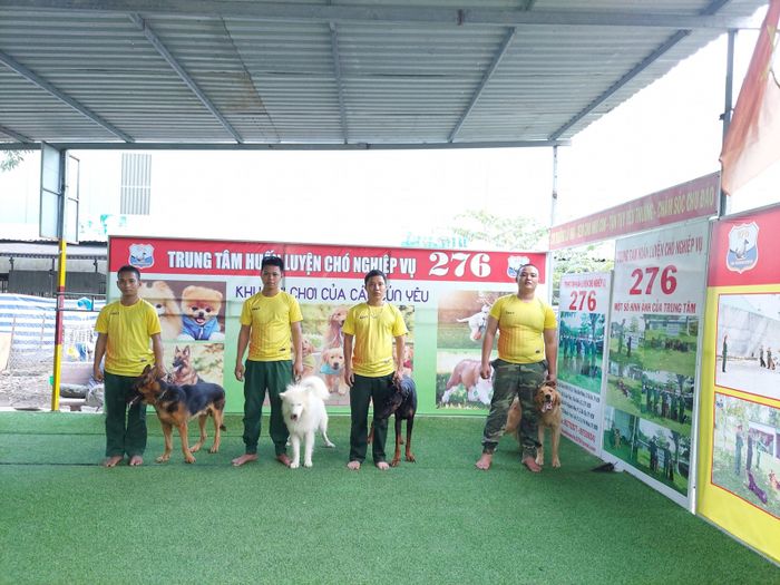 Hình ảnh thực tế tại Trung Tâm Huấn Luyện Chó 276 - Nơi đào tạo những chú chó xuất sắc