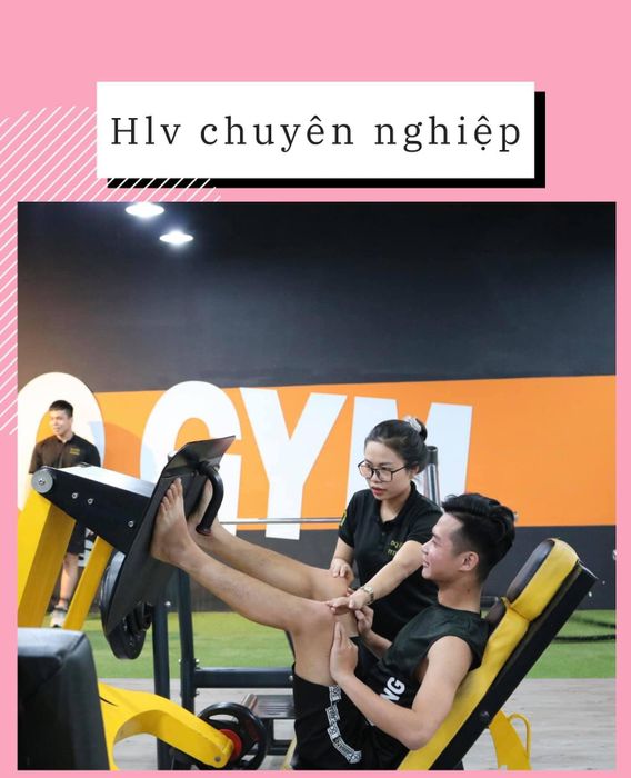 DQ Gym Fitness & Boxing ảnh 3