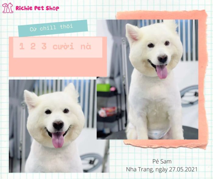 Không gian spa cao cấp tại Richie Pet Shop