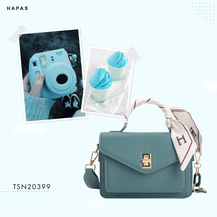 Hình ảnh HAPAS 1