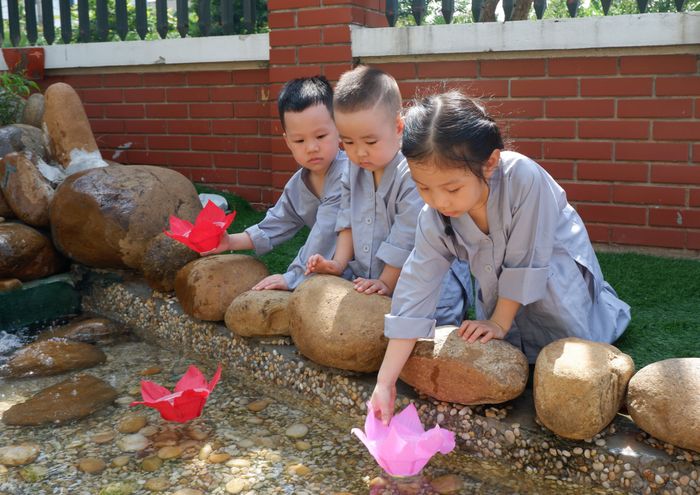 Khuôn viên xanh mát tại Mầm Non Ngôi Sao