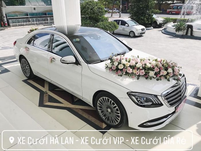 Những mẫu xe cưới đẳng cấp tại Xe Cưới Hà Lan (Ảnh 2)