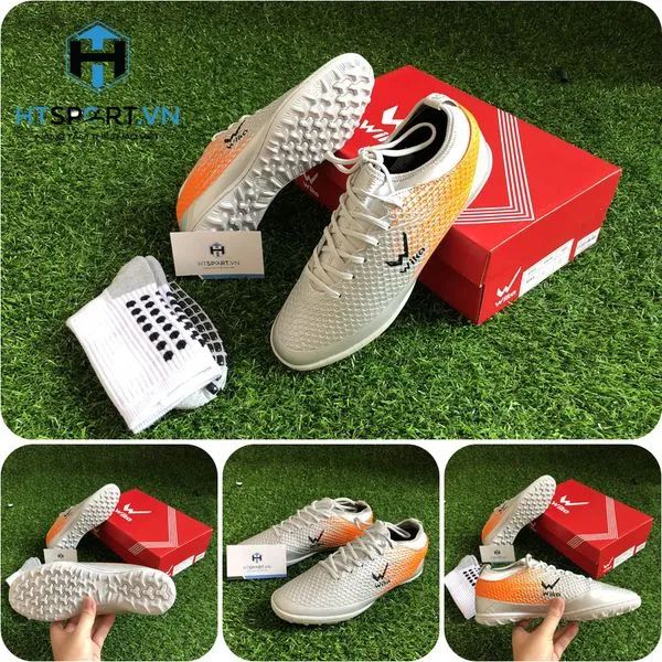 HTSPORT.VN hình ảnh 2
