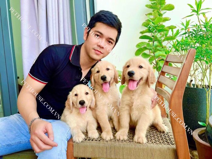 Không gian nuôi dưỡng tại Pet House