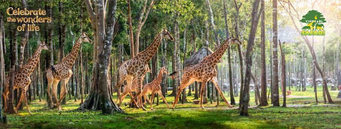 Hình ảnh Vinpearl Safari Phú Quốc - Thiên đường động vật hoang dã