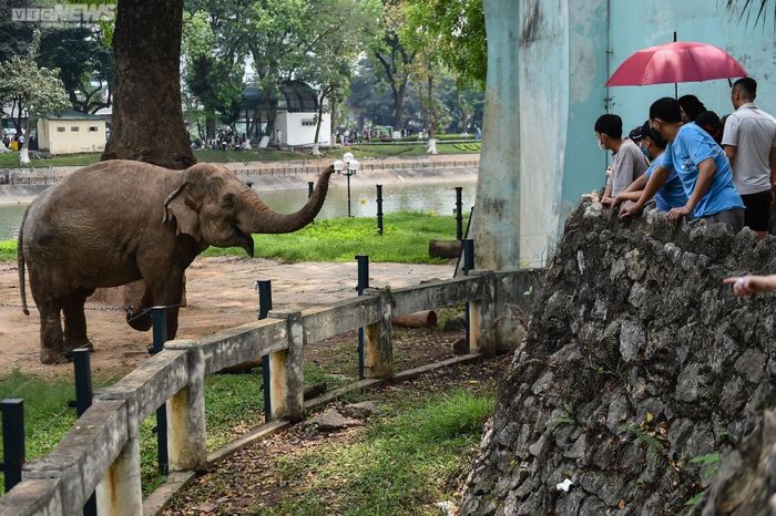 Hình ảnh Công viên Thủ Lệ - Thiên đường xanh giữa lòng thủ đô