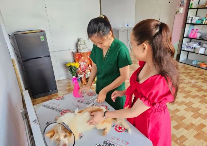 Phòng khám thú y Bảo Hân ảnh 2
