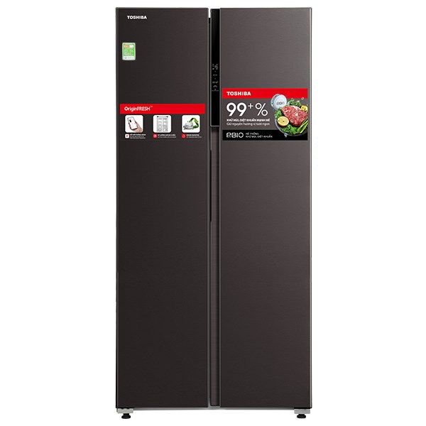 Hình ảnh tủ lạnh Toshiba phiên bản cao cấp