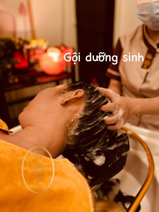 Dưỡng sinh Diên Hi ảnh 1